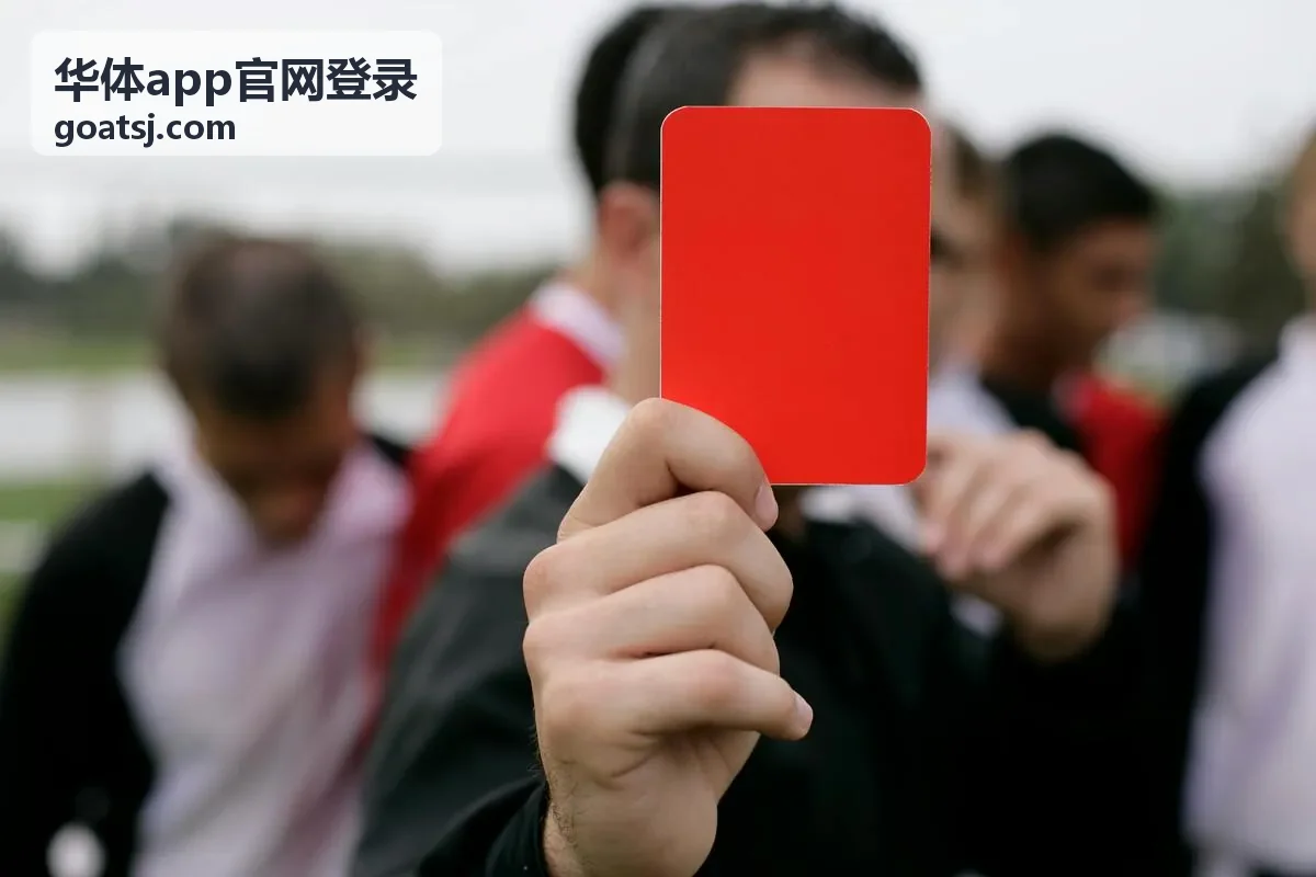 华体app官网登录账户安全设置界面示意