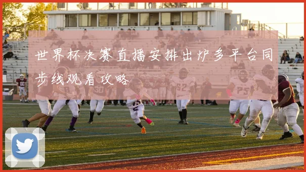 世界杯决赛直播安排出炉多平台同步线观看攻略