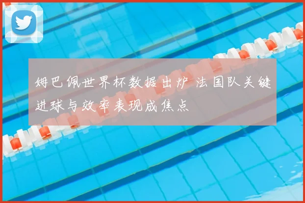 姆巴佩世界杯数据出炉 法国队关键进球与效率表现成焦点