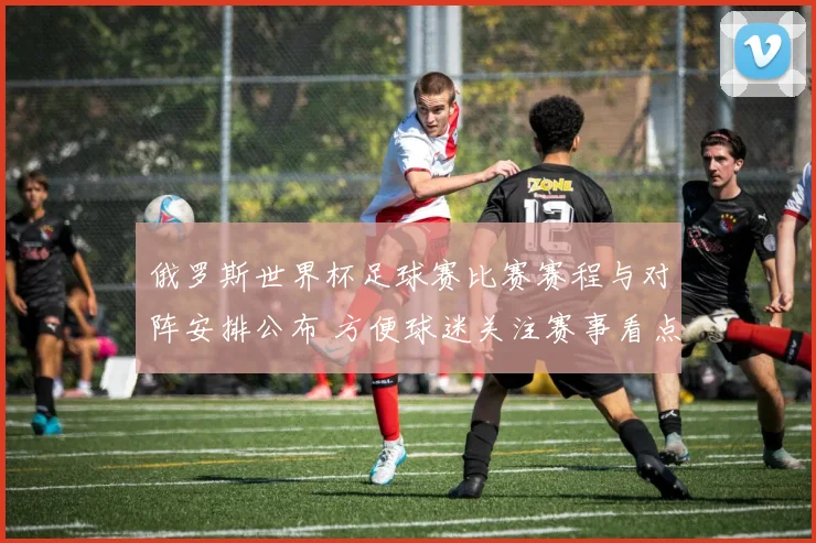 俄罗斯世界杯足球赛比赛赛程与对阵安排公布 方便球迷关注赛事看点