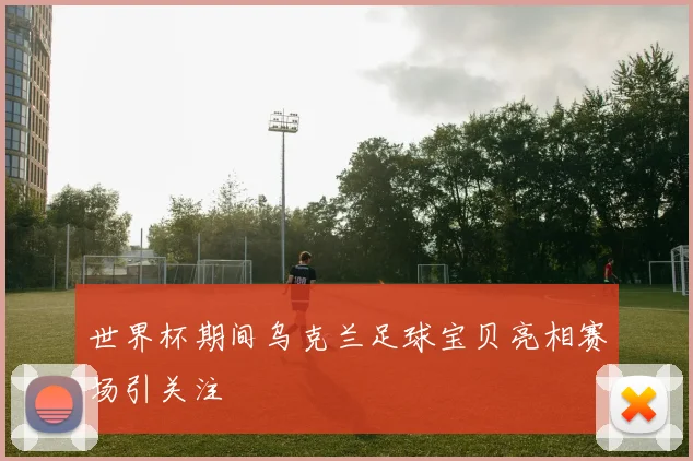 世界杯期间乌克兰足球宝贝亮相赛场引关注