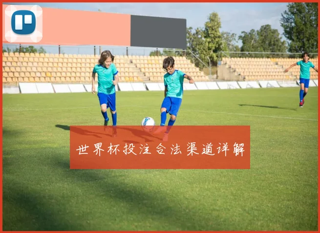 世界杯投注合法渠道详解