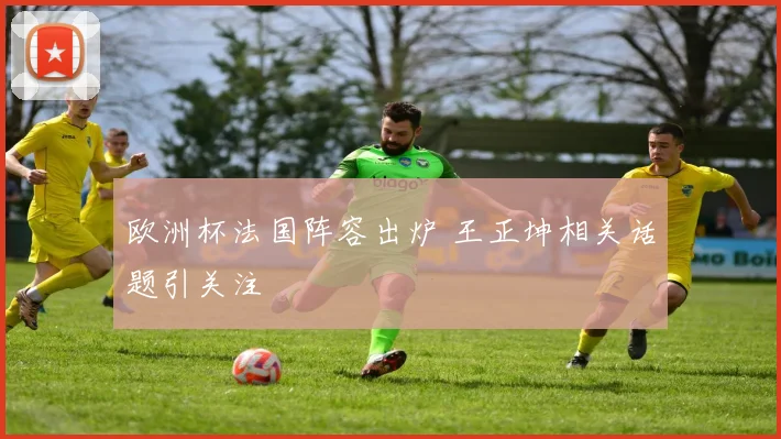 欧洲杯法国阵容出炉 王正坤相关话题引关注
