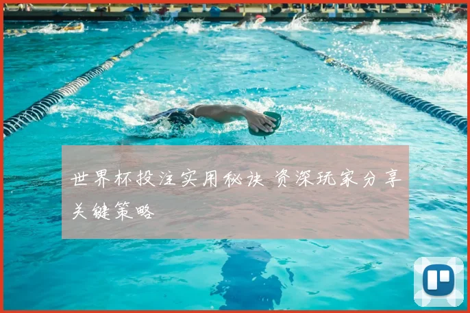 世界杯投注实用秘诀 资深玩家分享关键策略