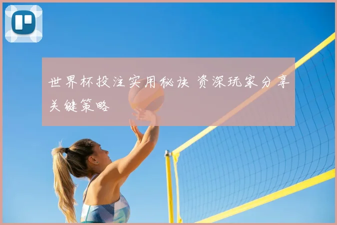 世界杯投注实用秘诀 资深玩家分享关键策略