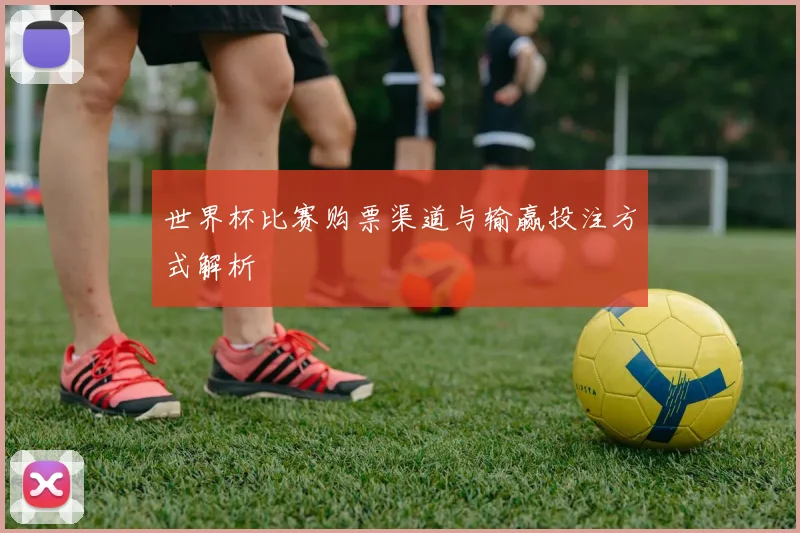 世界杯比赛购票渠道与输赢投注方式解析