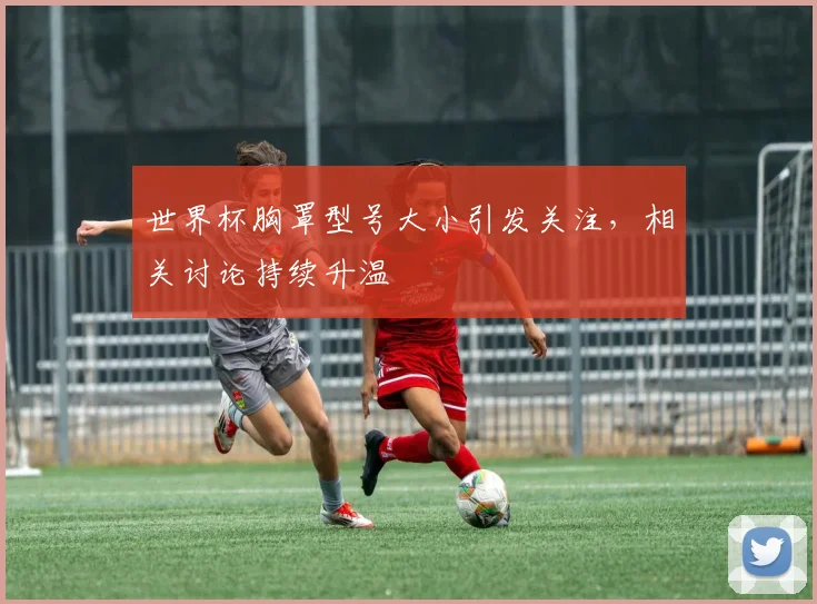 世界杯胸罩型号大小引发关注，相关讨论持续升温