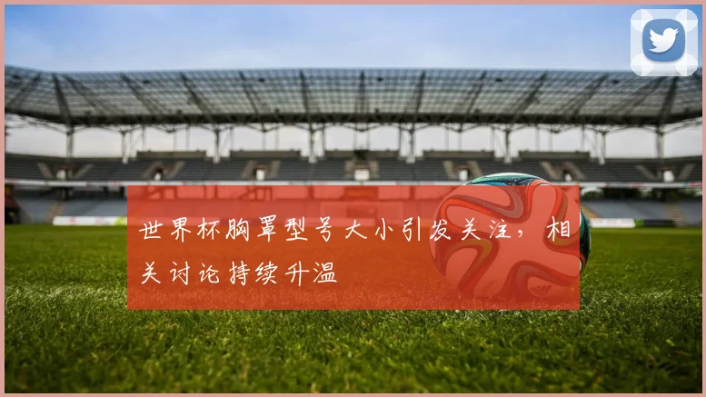 世界杯胸罩型号大小引发关注,相关讨论持续升温