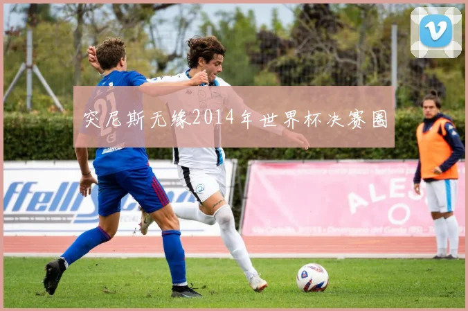 突尼斯无缘2014年世界杯决赛圈