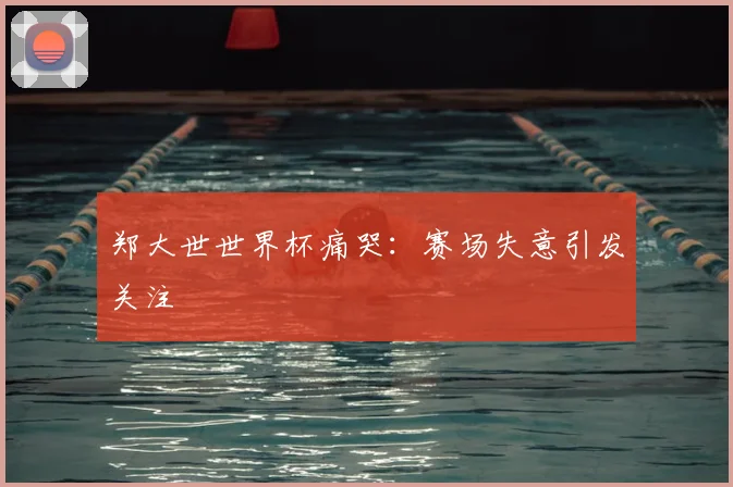 郑大世世界杯痛哭：赛场失意引发关注